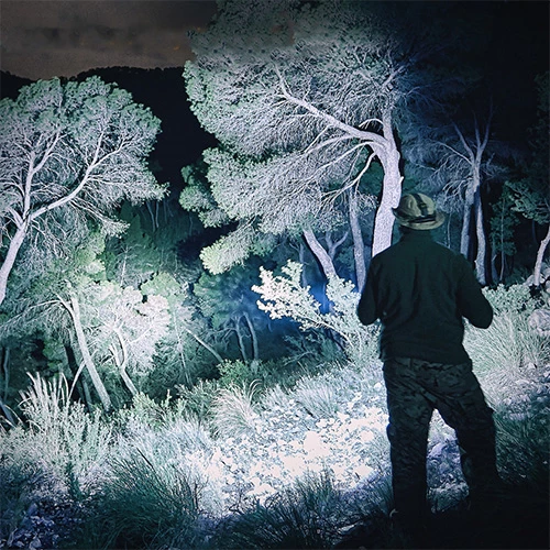 Wholesale ๐ฅฐ Automotive Repair Flashlights Fenix PD36R USB-C Rechargeable Flashlight | 1,600 Lumens ๐ 4 Wholesale ๐ฅฐ Automotive Repair Flashlights Fenix PD36R USB-C Rechargeable Flashlight | 1,600 Lumens ๐ - Image 2