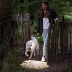 Outlet ⌛ Boating Flashlights LEDLenser P5R Core Rechargeable Flashlight | Adjustable Focus 👍 -Brightguy Sales Store LED Lenser P5R Core Rechargeable Flashlight 6 600x600 1